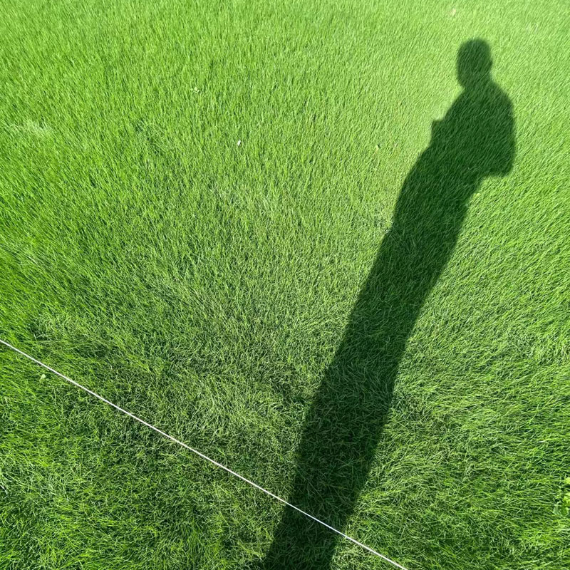 徐州草坪,午夜精品久久久草坪